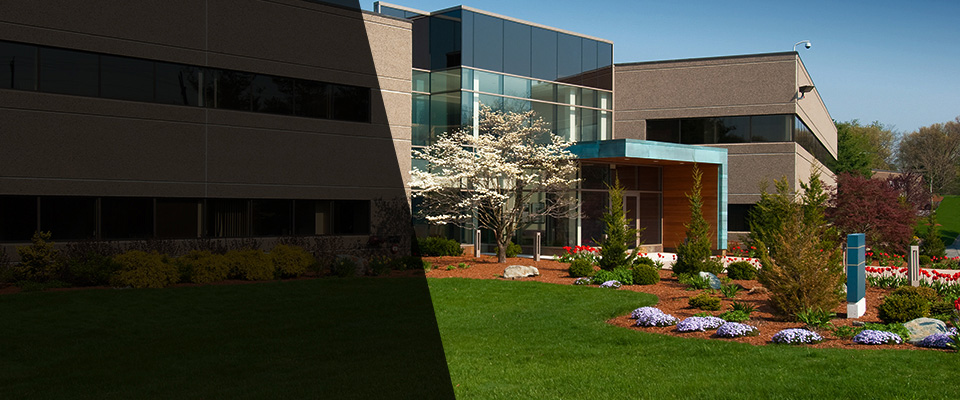 Sea Girt Landscapers