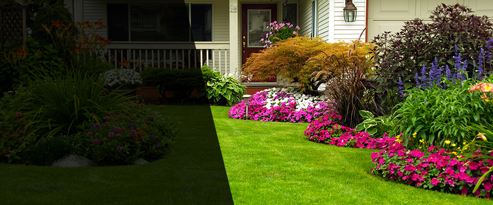 Sea Girt Landscapers