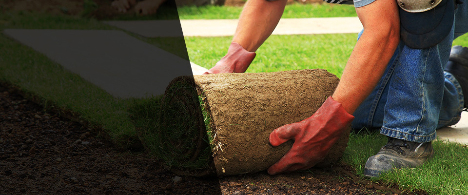 Sea Girt Landscapers